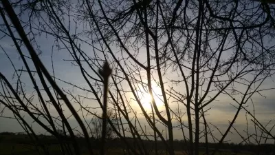 Sonnenuntergang durch den Baum betrachtet